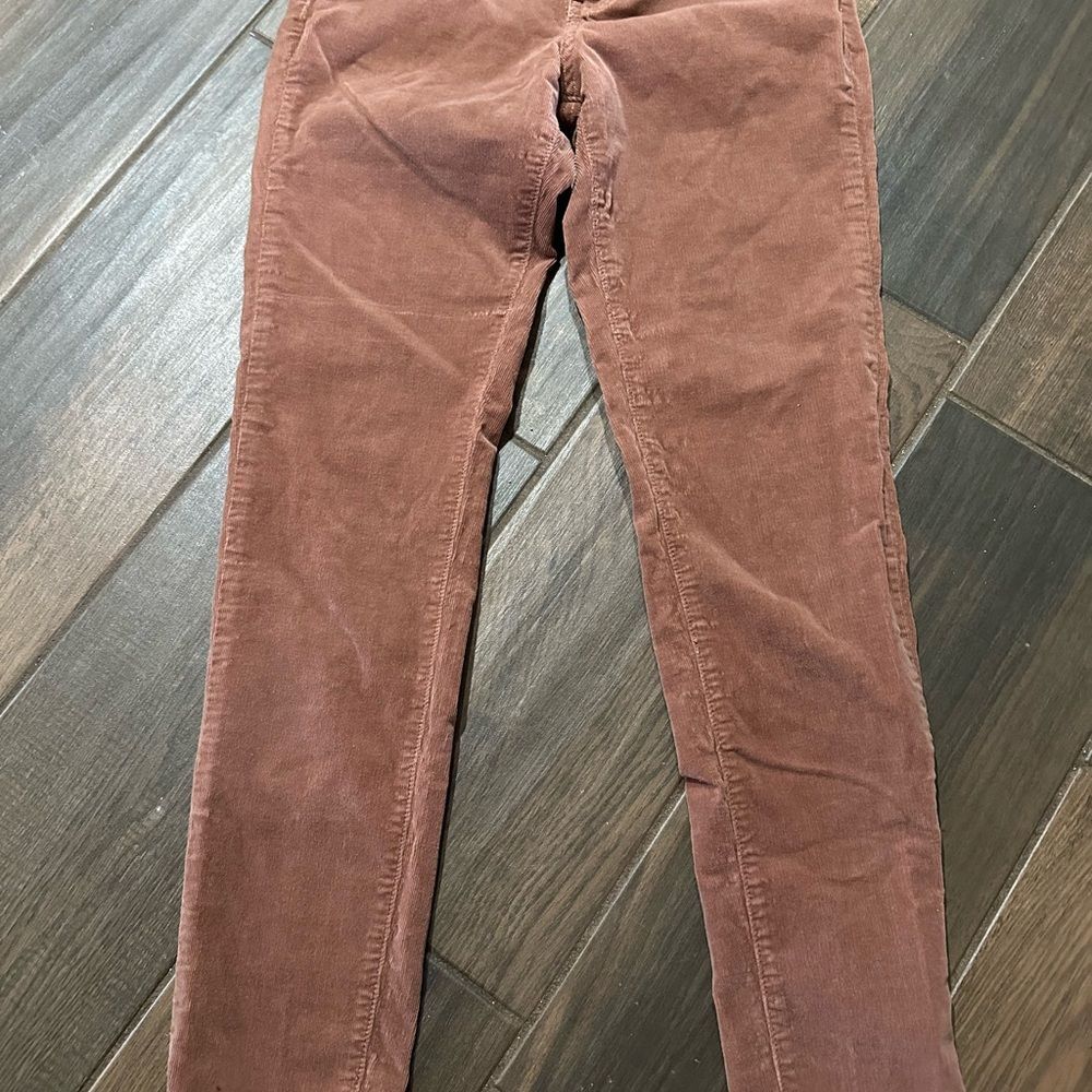 Angry Rabbit Copper Corduroy Trousers